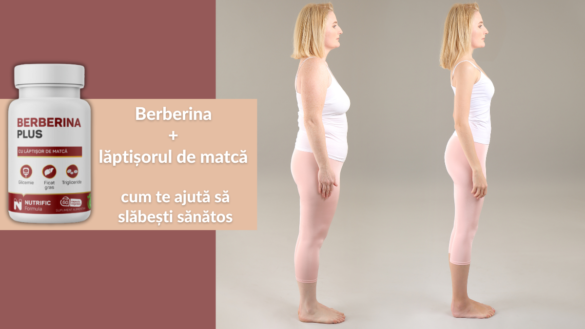 Berberina + lăptișorul de matcă – cum te ajută să slăbești sănătos
